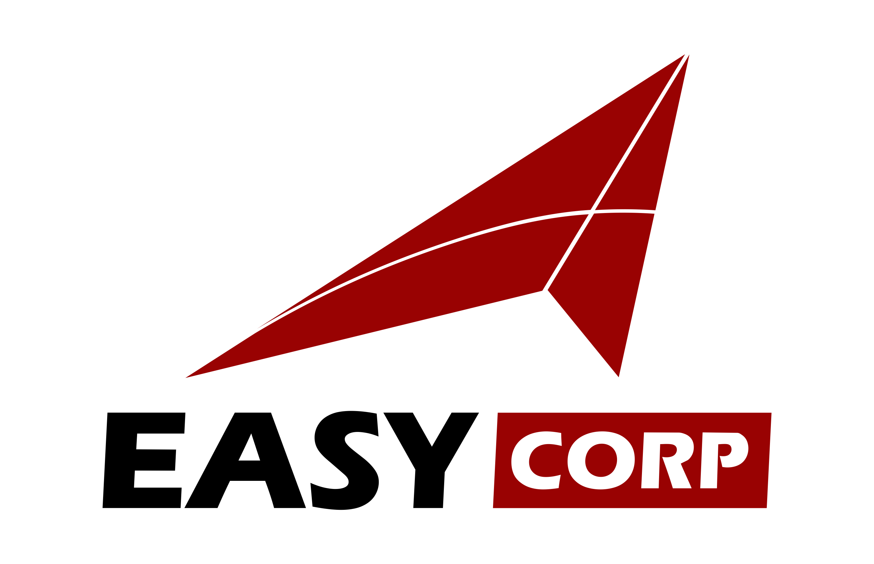 EasyCorp Logo